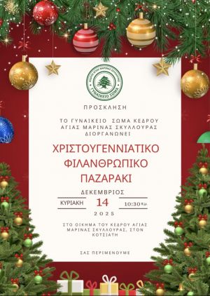 ΓΥΝΑΙΚΕΙΟ ΣΩΜΑ ΚΕΔΡΟΥ ΑΓΙΑΣ ΜΑΡΙΝΑΣ ΣΚΥΛΛΟΥΡΑΣ - ΧΡΙΣΤΟΥΓΕΝΝΙΑΤΙΚΟ ΦΙΛΑΝΘΡΩΠΙΚΟ ΠΑΖΑΡΑΚΙ